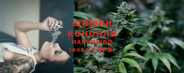ПСИЛОЦИБИНОВЫЕ ГРИБЫ Алексеевка