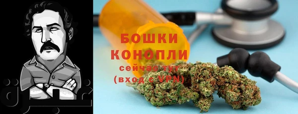 ПСИЛОЦИБИНОВЫЕ ГРИБЫ Алексеевка