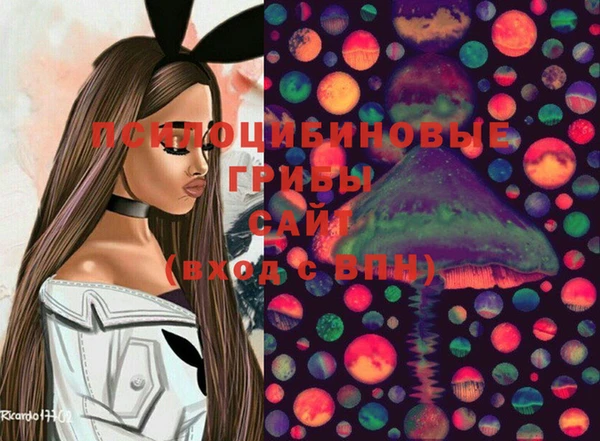 ПСИЛОЦИБИНОВЫЕ ГРИБЫ Алексеевка