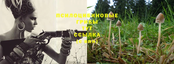 ПСИЛОЦИБИНОВЫЕ ГРИБЫ Алексеевка