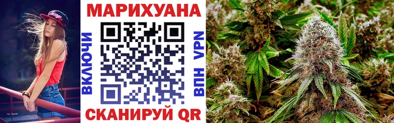Марихуана планчик  Шилка 